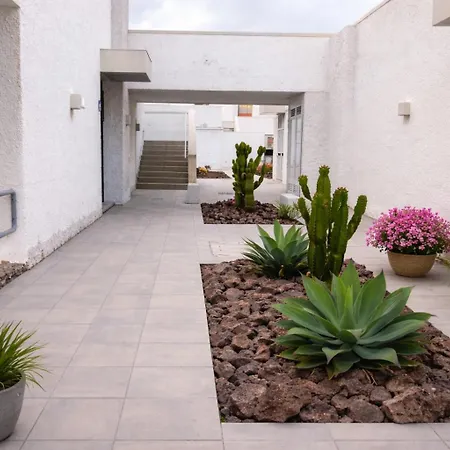 Cozy Garden Apartment Las Galletas Apartment