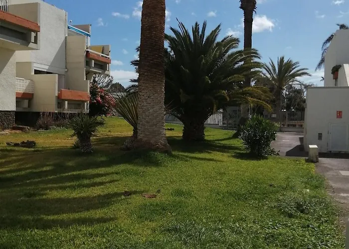 Cozy Garden Apartment Las Galletas Apartamento *