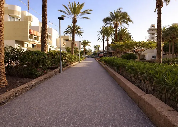 Cozy Garden Apartment Las Galletas 阿罗纳